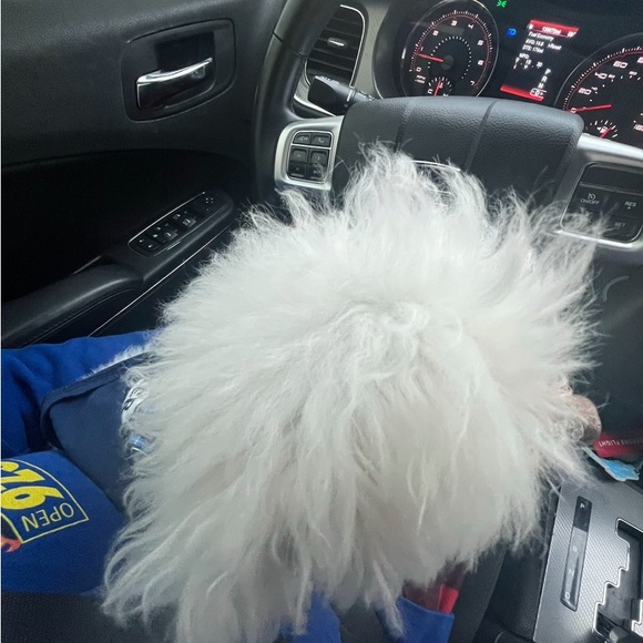 Meet your Posher, Jaleesa - Picture 1 of 1